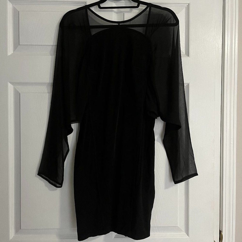 Black Mini Dress & Sheer Long Sleeves